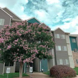 Instagram post from @outpostatwaco on March 01, 2025 00:00:00am